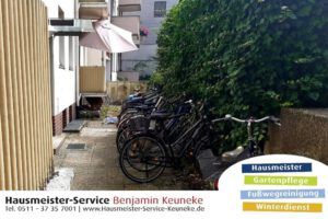Efeu schneiden, Efeu entfernen, Efeu durchschneiden | in Hannover, Garbsen, Langenhagen, Isernhagen, Altwarmbüchen, Laatzen, Hemmingen